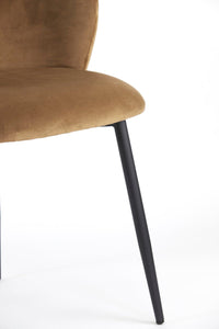 Jídelní křeslo ELYNA VELVET BROWN - CO.DE Concept