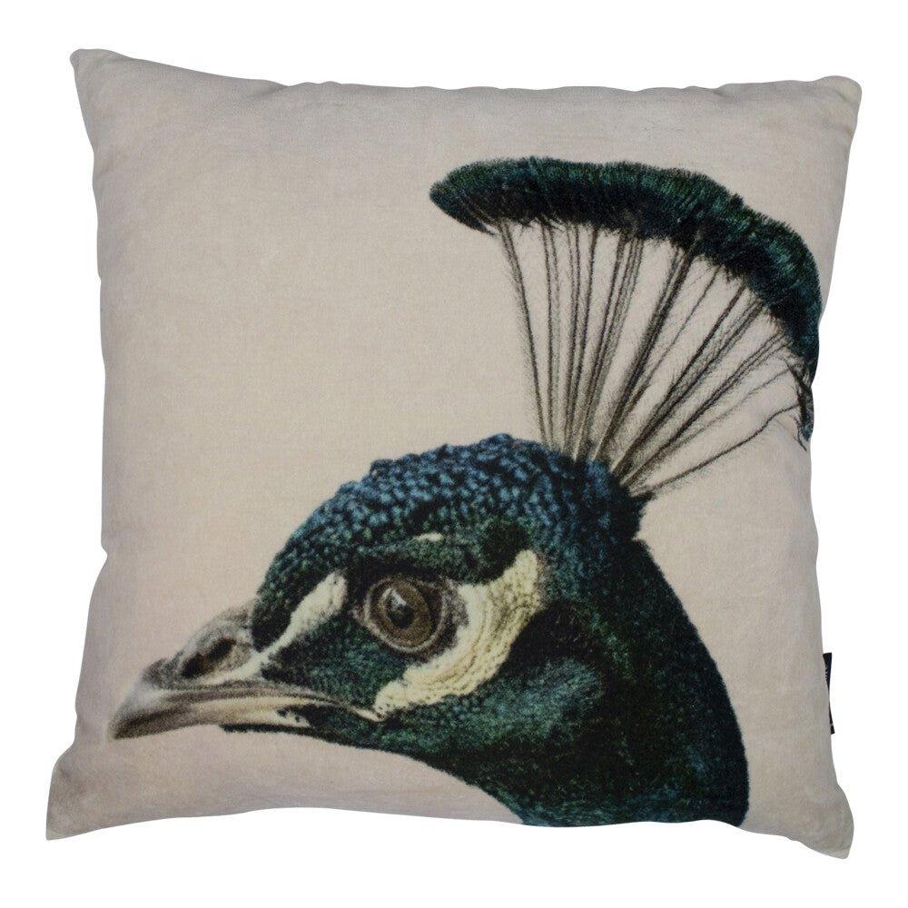 Sametový polštář PEACOCK | Polštáře